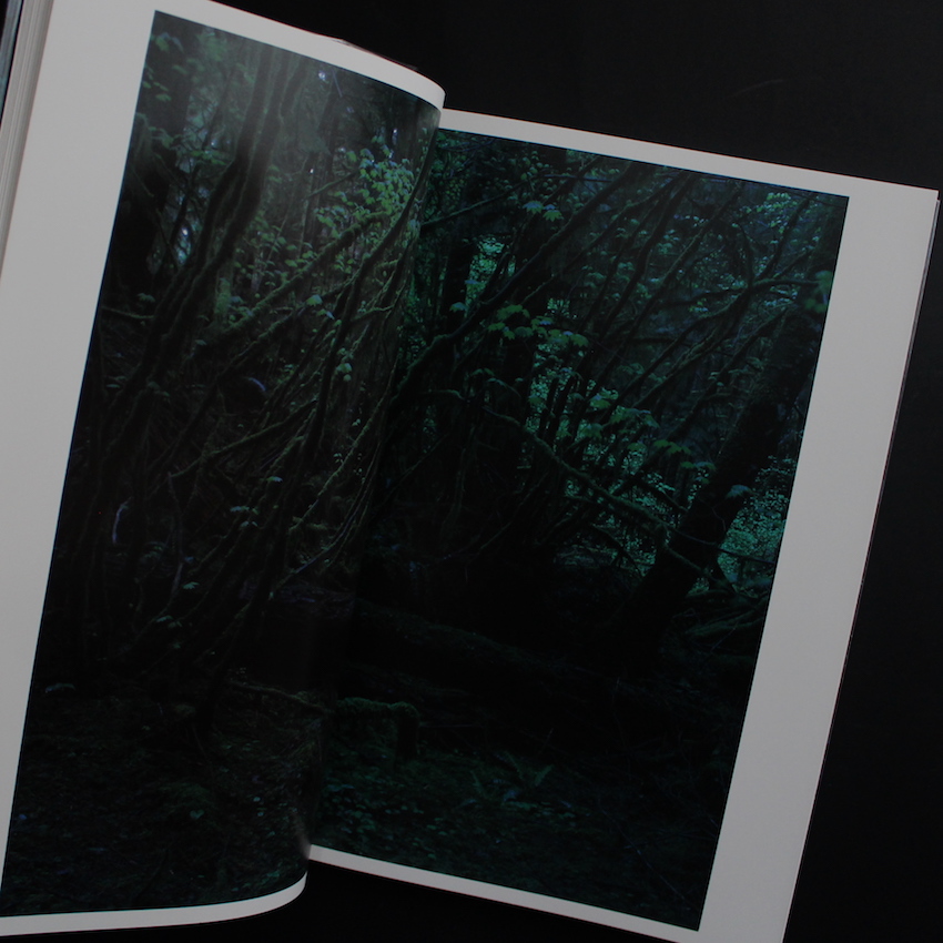 Quinault（First Seigensha Edition） - 上田 義彦 / Yoshihiko Ueda