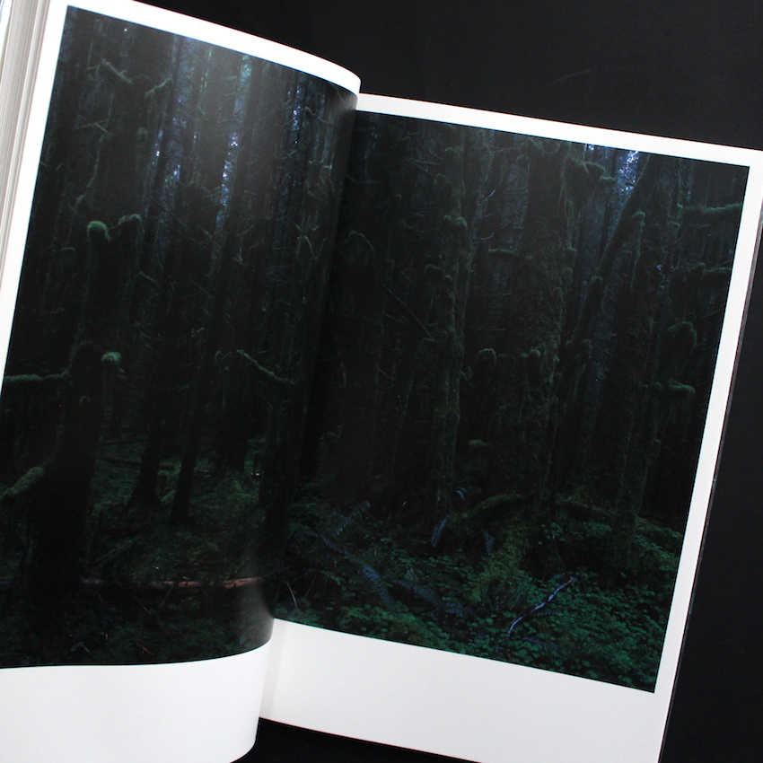 Quinault（First Seigensha Edition） - 上田 義彦 / Yoshihiko Ueda