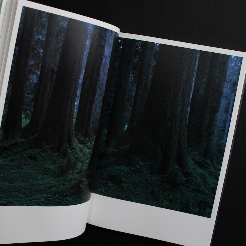Quinault（First Seigensha Edition） - 上田 義彦 / Yoshihiko Ueda