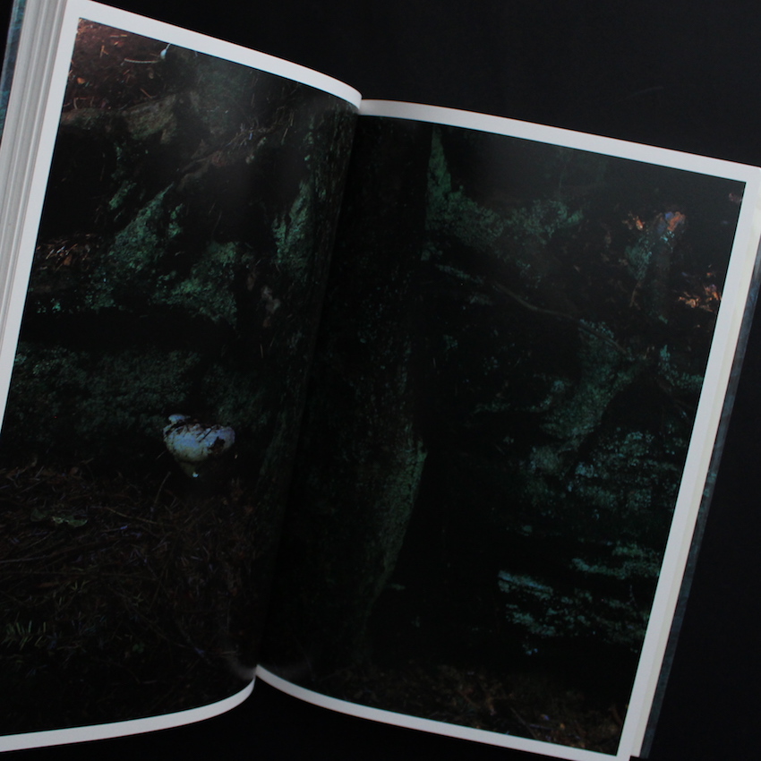 Quinault（First Seigensha Edition） - 上田 義彦 / Yoshihiko Ueda