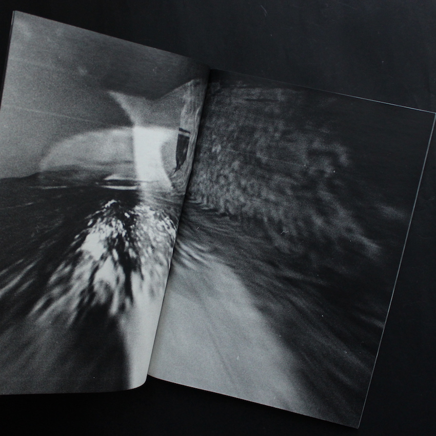 Room / Rabbit（Signed） - 横田 大輔 / Daisuke Yokota