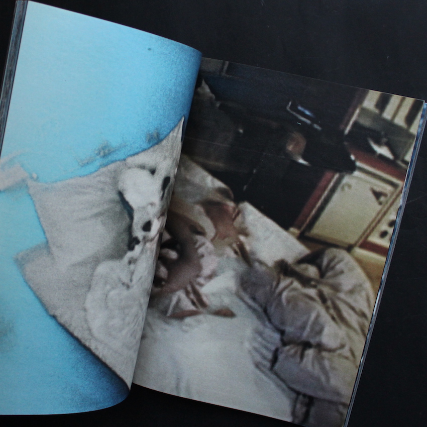 Room / Rabbit（Signed） - 横田 大輔 / Daisuke Yokota