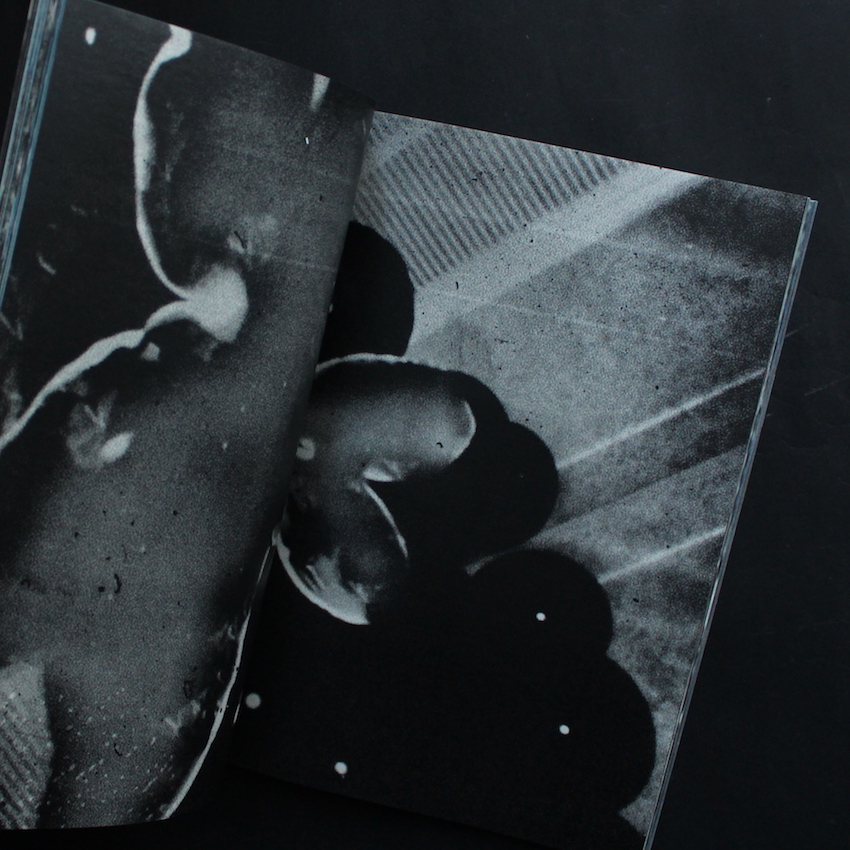 Room / Rabbit（Signed） - 横田 大輔 / Daisuke Yokota