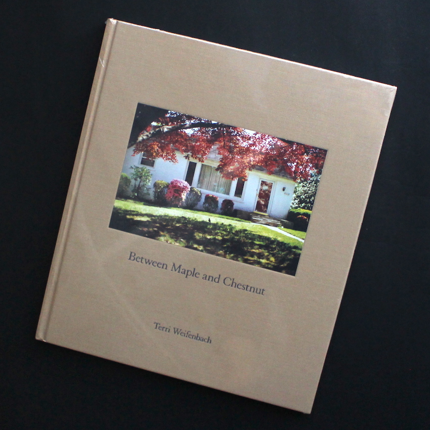 Between Maple and Chestnut（Unopened） - Terri Weifenbach