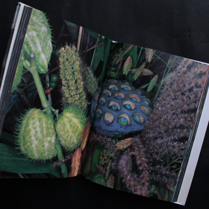 花曲 / Kakyoku（With OBI, Fair Copy） - 荒木 経惟 / Nobuyoshi Araki