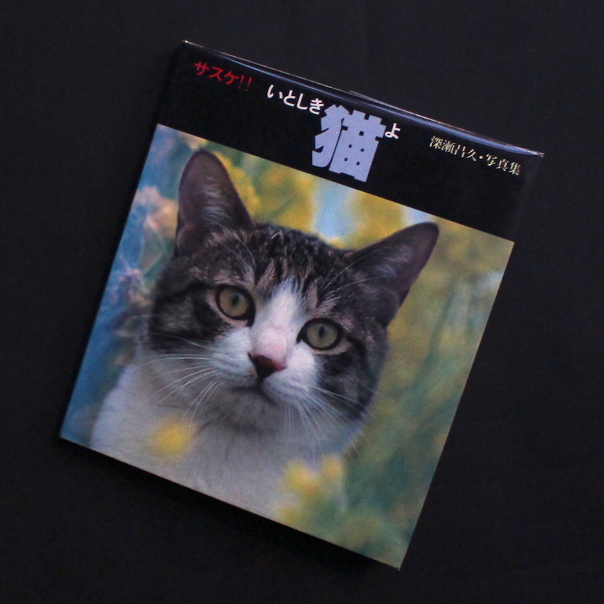 サスケ！！いとしき猫よ サスケ！！ いとしき猫よ（Second Printing） - 深瀬 昌久 / Masahisa