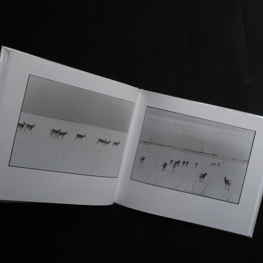 鹿渡り / Shikawatari（Second Printing） - 白石 ちえこ / Chieko
