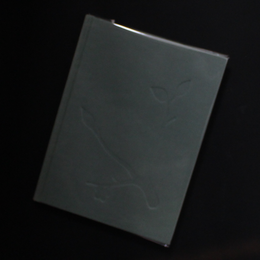 Julia Borissova / Running to the Edge（Signed）