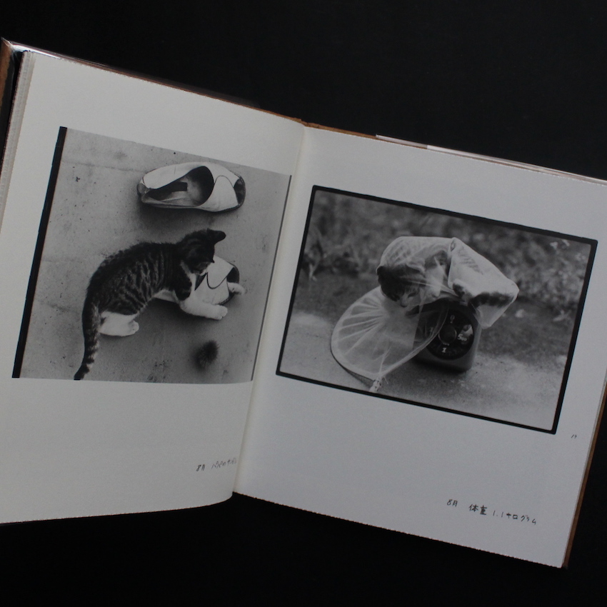 Afterword（First Edition, With Booklet） - 深瀬 昌久 / Masahisa Fukase
