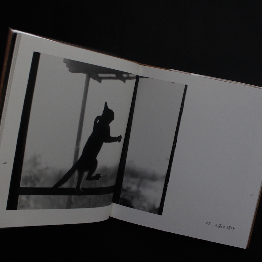 Afterword（First Edition, With Booklet） - 深瀬 昌久 / Masahisa Fukase