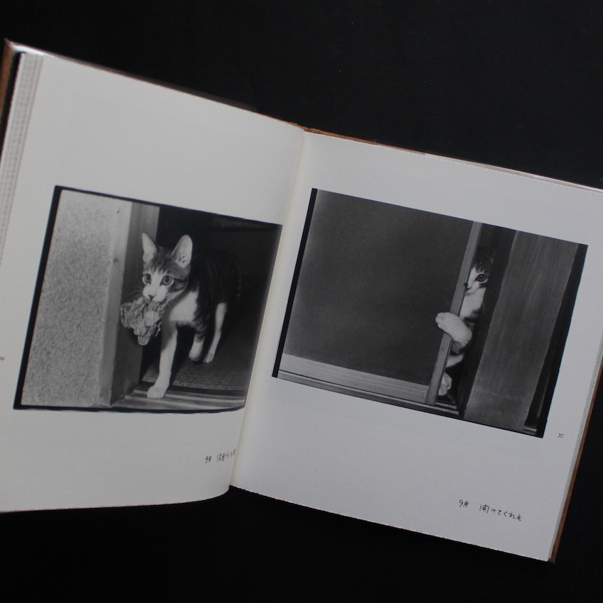 Afterword（First Edition, With Booklet） - 深瀬 昌久 / Masahisa Fukase