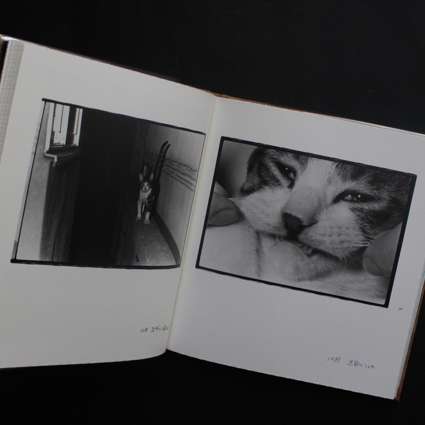 Afterword（First Edition, With Booklet） - 深瀬 昌久 / Masahisa Fukase