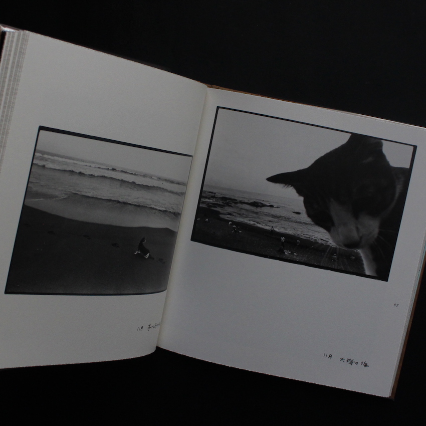 Afterword（First Edition, With Booklet） - 深瀬 昌久 / Masahisa Fukase