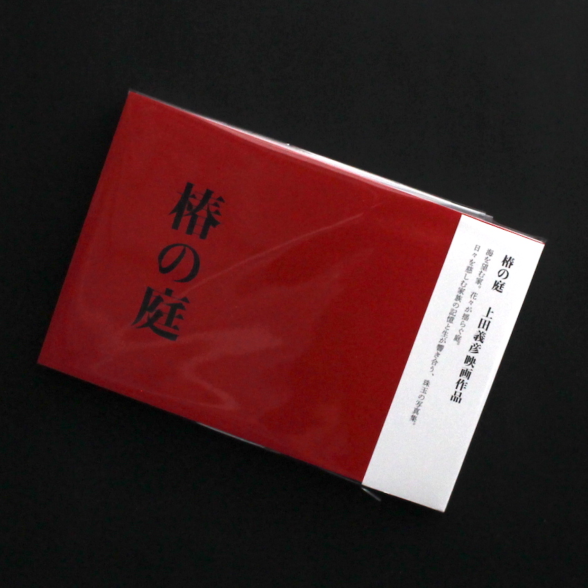 上田　義彦 / Yoshihiko Ueda / 椿の庭