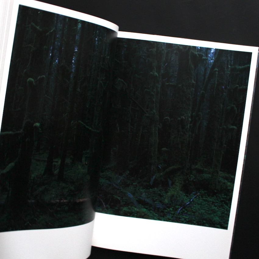 Quinault（Second Printing） - 上田 義彦 / Yoshihiko Ueda