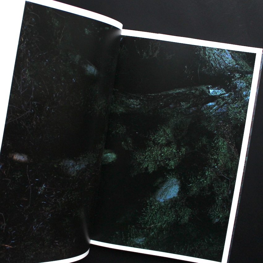 Quinault（Second Printing） - 上田 義彦 / Yoshihiko Ueda
