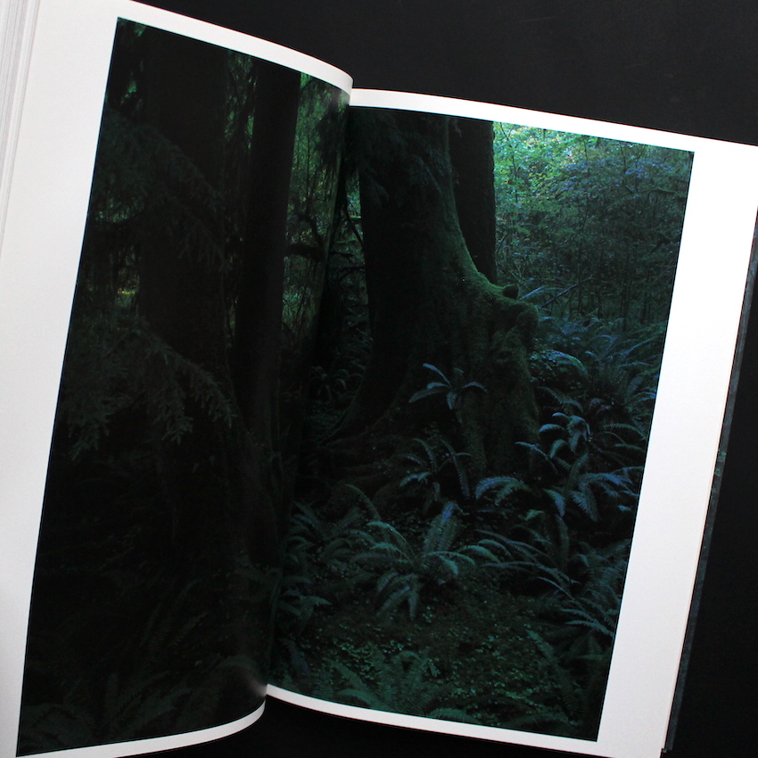 Quinault（Second Printing） - 上田 義彦 / Yoshihiko Ueda