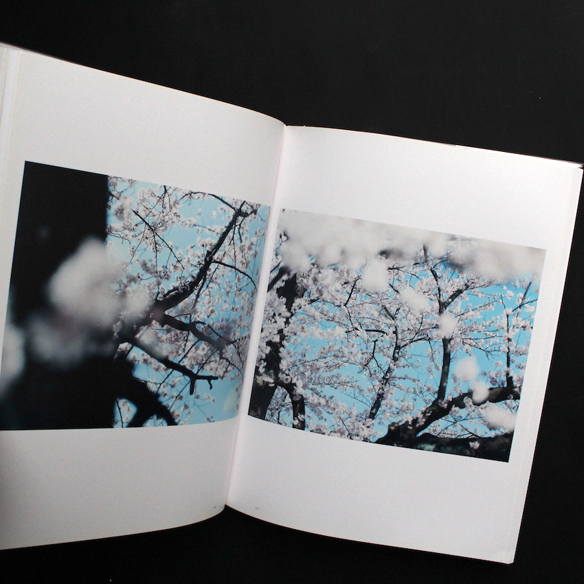 意識の流れ / Stream of Consciousness（White Cover, Signed） - 鈴木