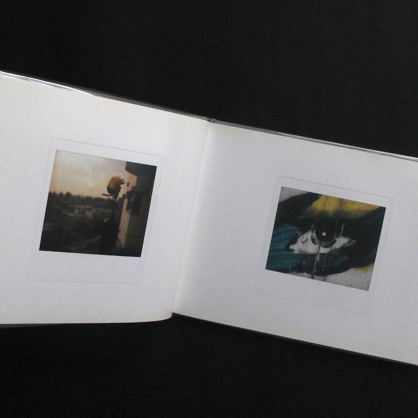 Bye-Bye Polaroid（Signed） - 森山 大道 / Daido Moriyama