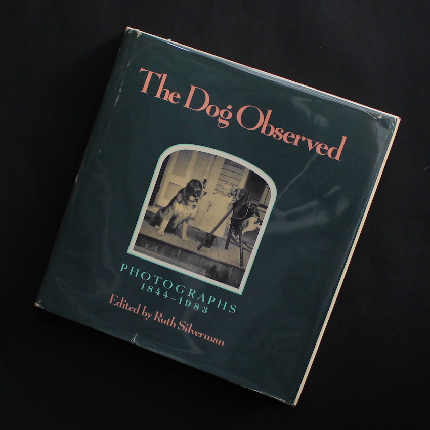 - / The Dog Observed  Photographs 1844-1983