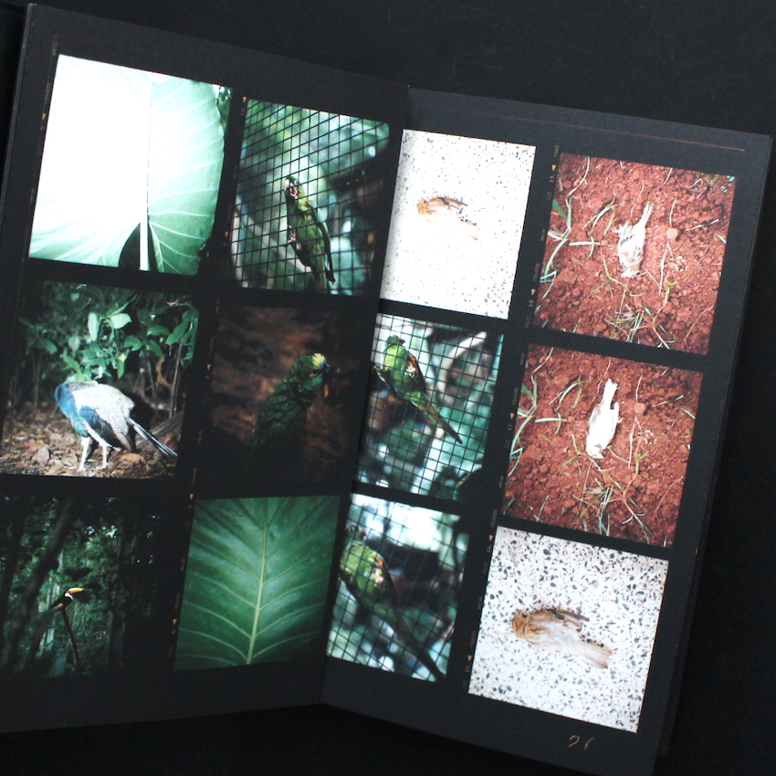 Sheets - 川内 倫子 / Rinko Kawauchi