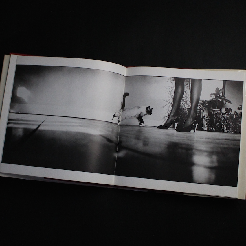 David Bailey's Trouble and Strife - David Bailey