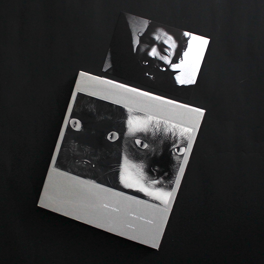 Wonderful Days（With Postcard） - 深瀬 昌久 / Masahisa Fukase