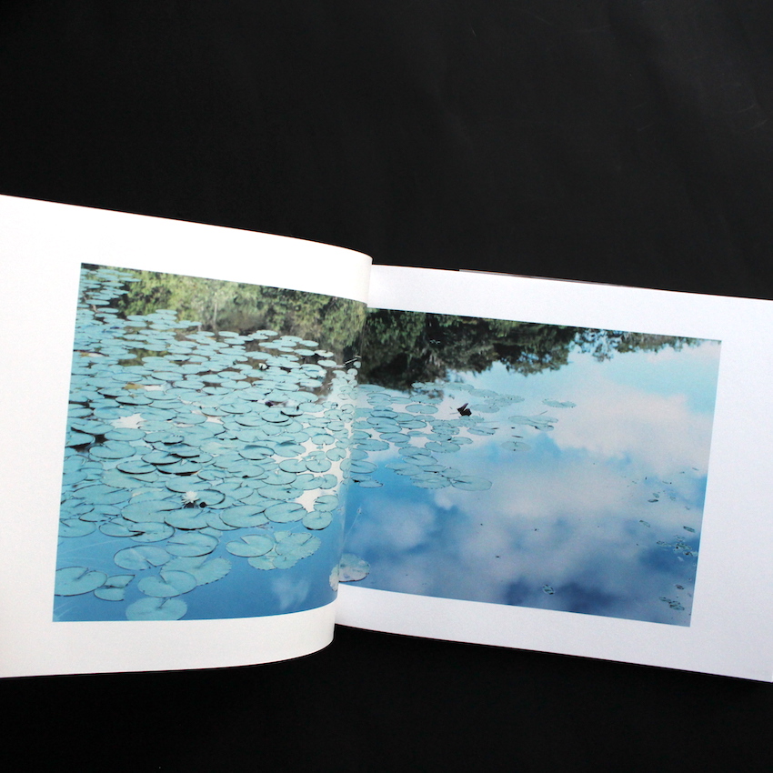 柴田敏雄と鈴木理策 : 写真と絵画 - セザンヌより（Second Printing