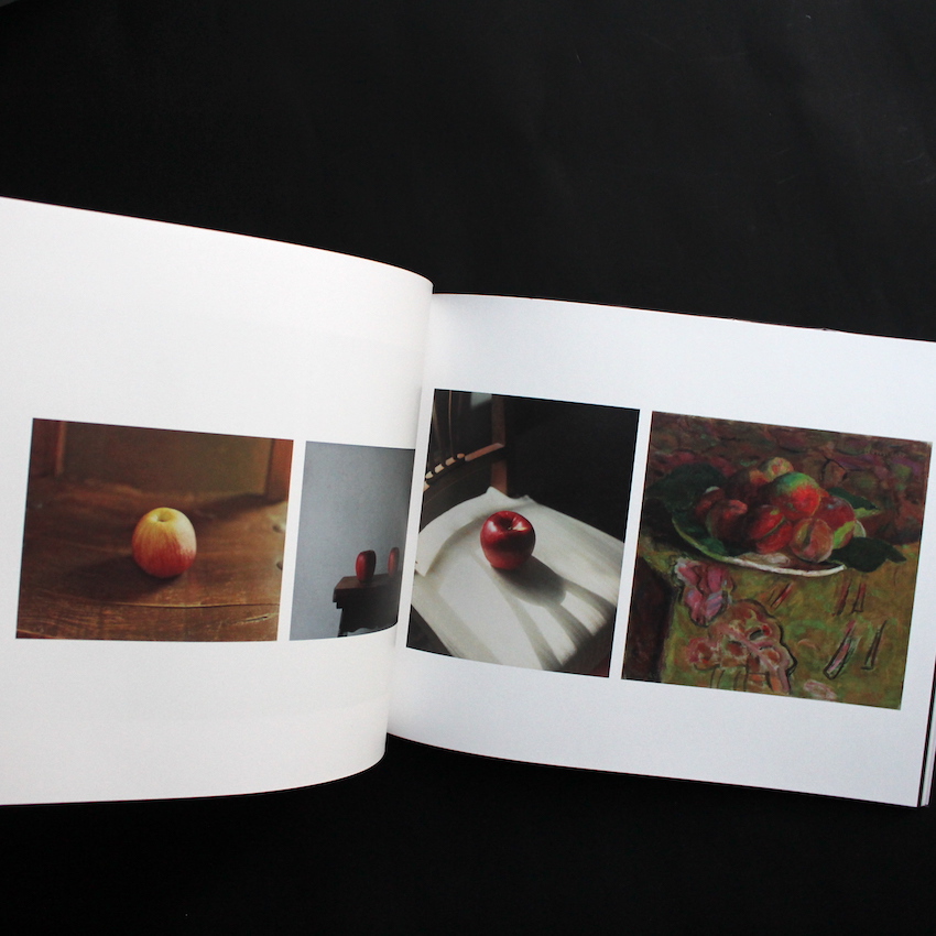 柴田敏雄と鈴木理策 : 写真と絵画 - セザンヌより（Second Printing