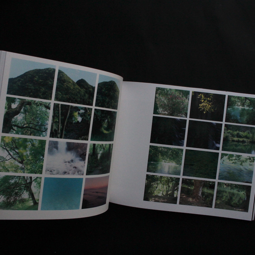 柴田敏雄と鈴木理策 : 写真と絵画 - セザンヌより（Second Printing