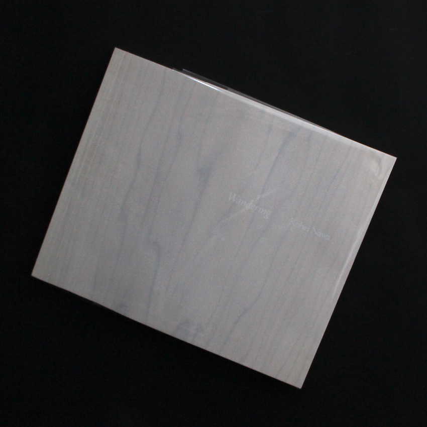 名和　晃平 / Kohei Nawa / Wandering