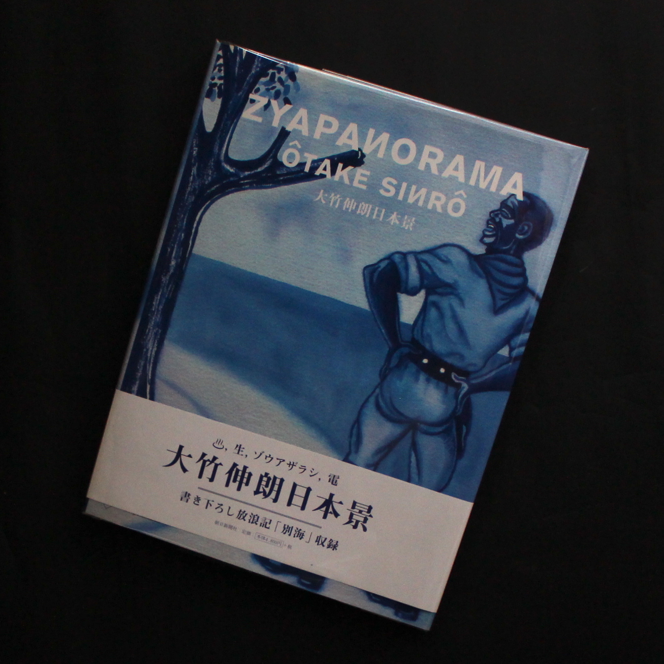 大竹　伸朗 / Shinro Ohtake / 大竹伸朗日本景 / Zyapanorama（Signed）