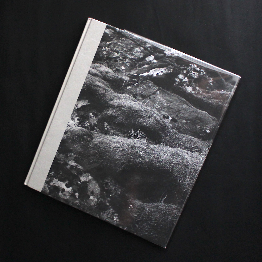 Thomas Whiteside / Route 1, Mike And India