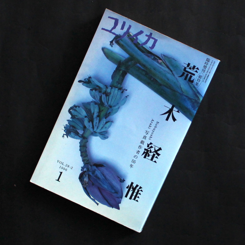 - / ユリイカ 1996年1月臨時増刊  -総特集　荒木経惟-