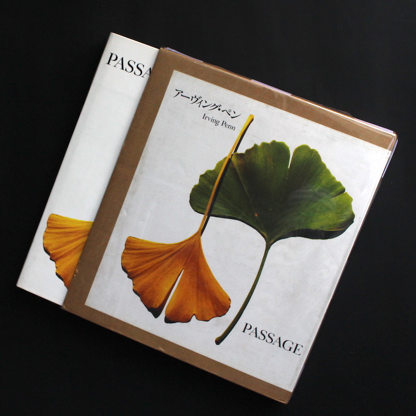 Irving Penn / Passage（Japanese Edition）