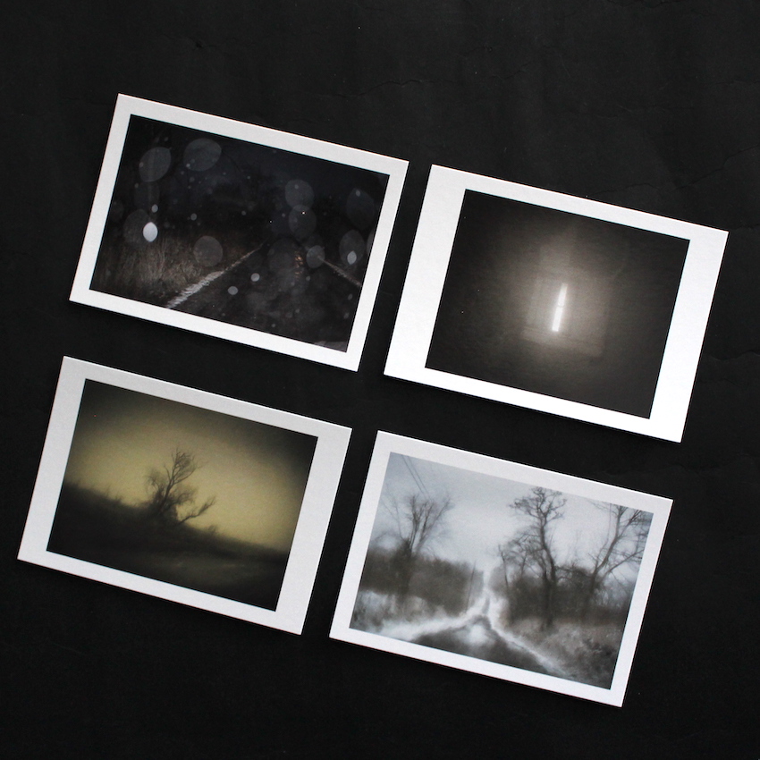 Homing In（Signed） - Todd Hido