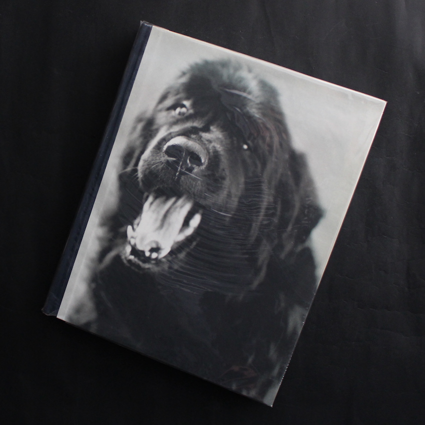 Bruce Weber / Gentle Giants