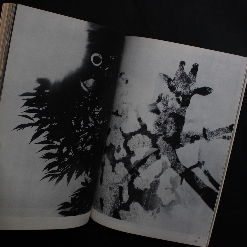 カメラ毎日 1962年11月号 / Camera Mainichi November 1962（深瀬昌久