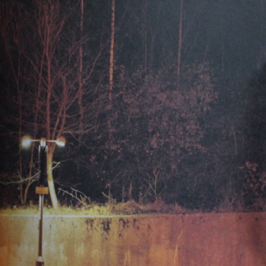 Paul Seawright / The Forest