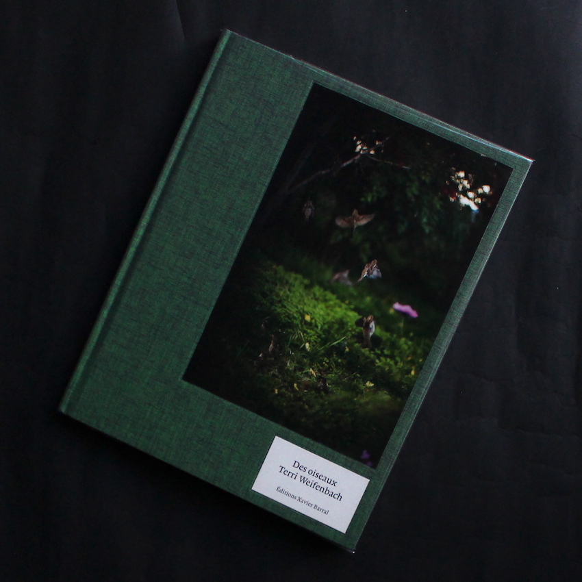 Terri Weifenbach / Des Oiseaux（English Edition, Signed）