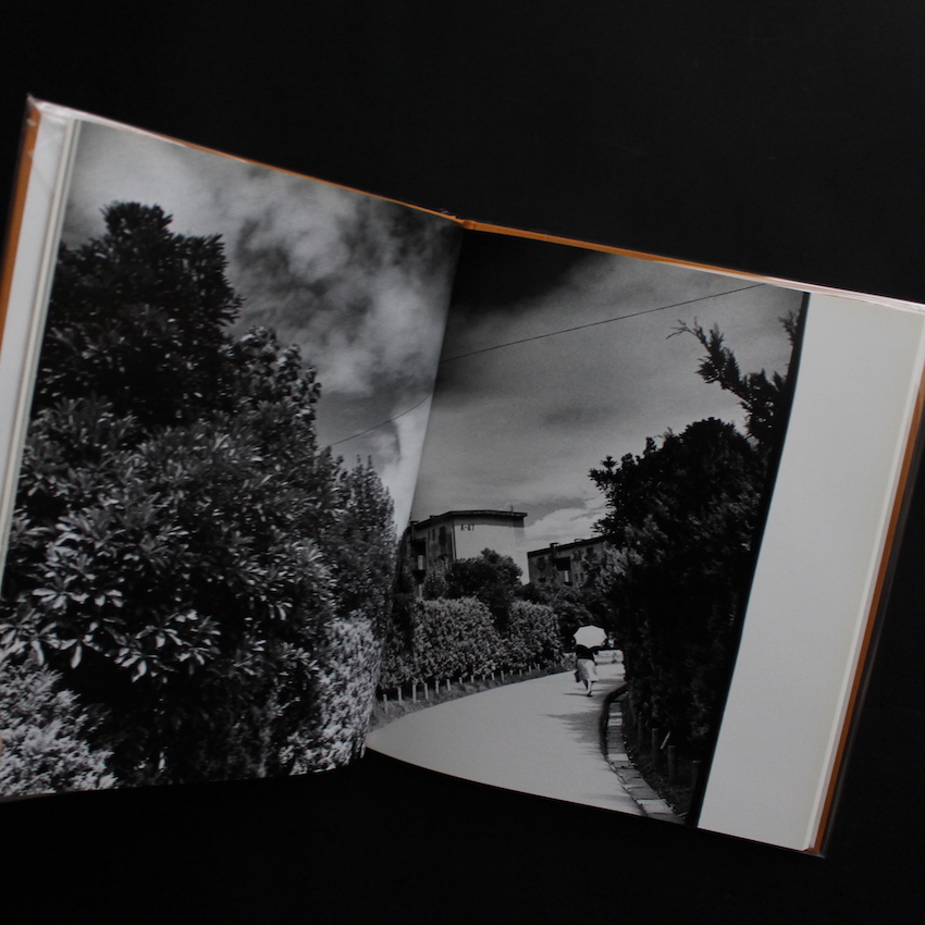 hysteric Twelve - 深瀬 昌久 / Masahisa Fukase